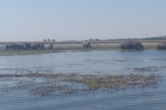 Chobe Botswana Full-Day Trip