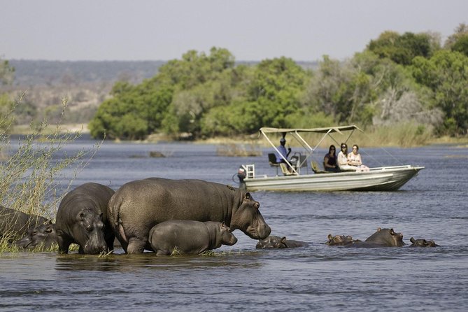 chobe-extended-day-trip-from-victoria-falls-zimbabwe-overview-of-the-excursion