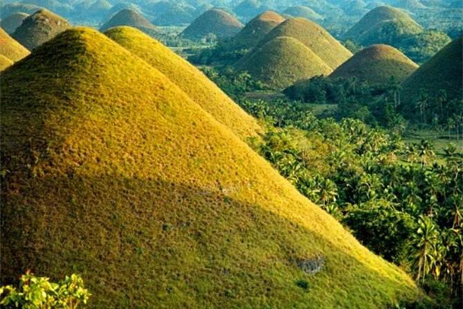 chocolate-hills-tour-with-tarsier-loboc-river-buffet-lunch-half-day-tour-tour-overview