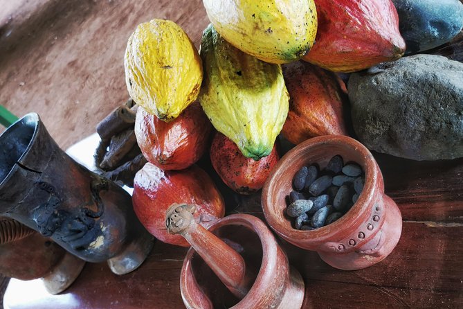 Chocolate Tour Manuel Antonio - Tour Overview