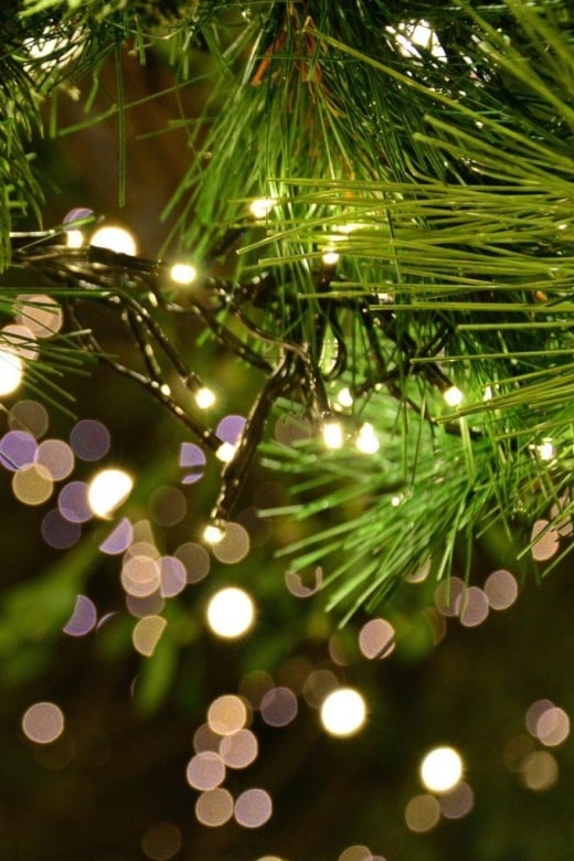 christmas-tales-in-canterbury-private-walking-tour-tour-duration-and-availability