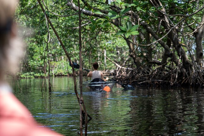Clear Kayak Tour in North Miami Beach - Mangrove Tunnels - Explore Natural Landscape