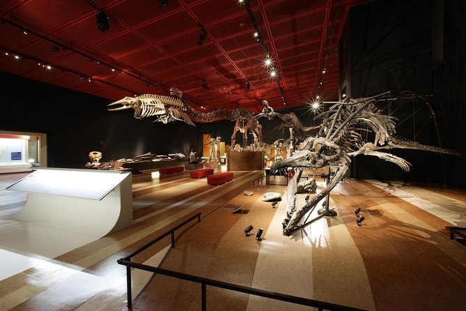 coal-fossil-museum-admission-ticket-ticket-information