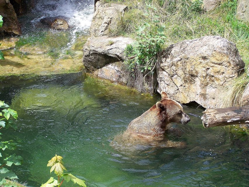 combi-entrance-ticket-to-alpine-zoo-and-hungerburg-ticket-details