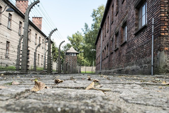Combined: Auschwitz Birkenau and Salt Mine Private Chauffeur From Krakow - Tour Overview and Highlights