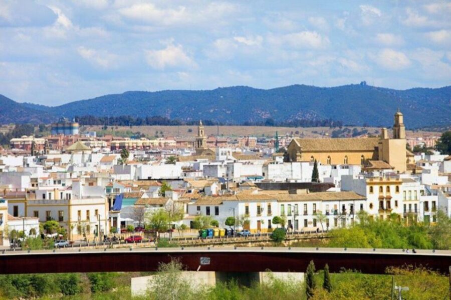 cordoba-patios-private-walking-tour-tour-details
