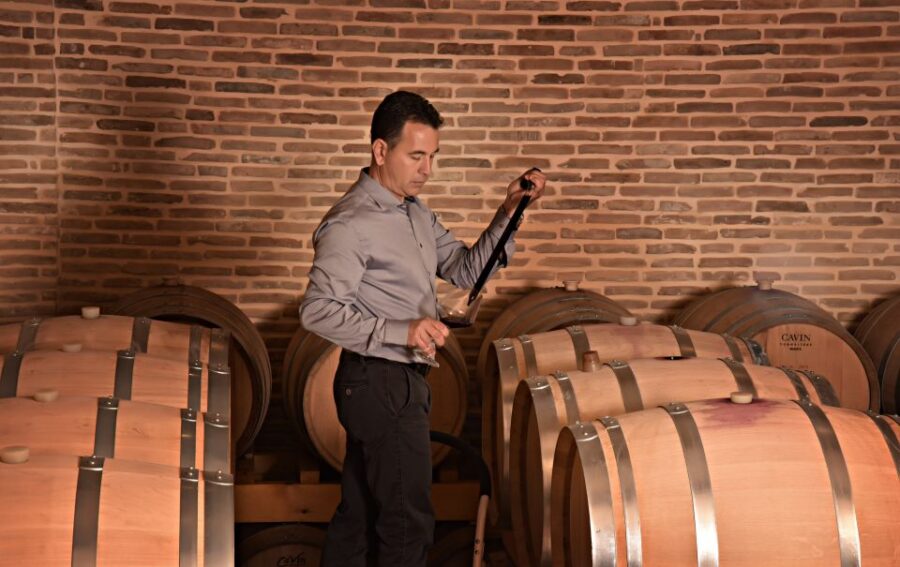 Corinth: Winery Tour and Organic Fine Wine Tastings - Activity Overview