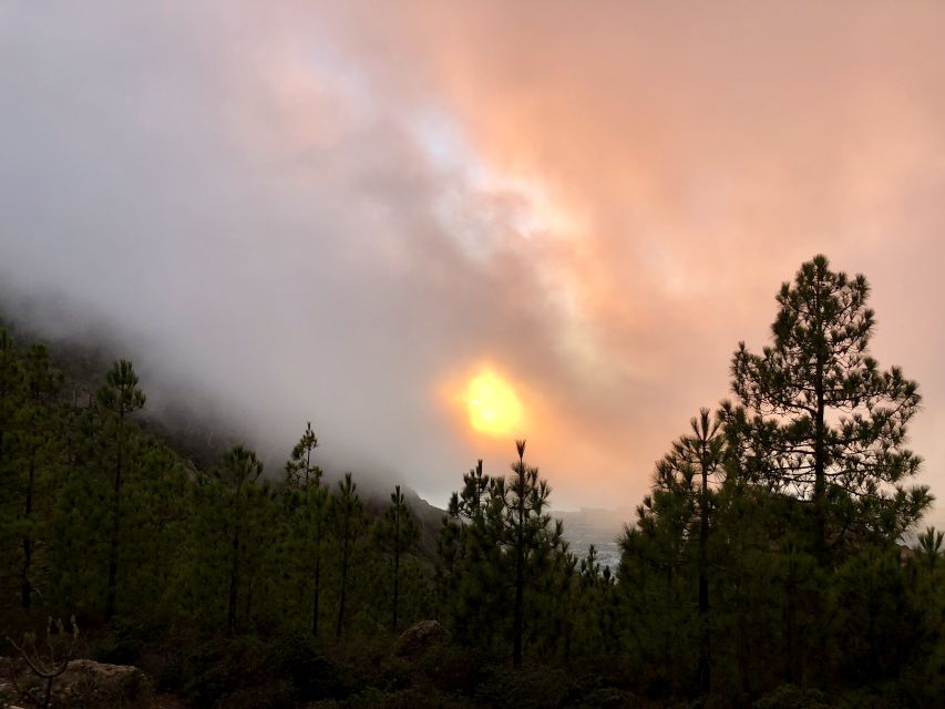 Costa Adeje: Tandem Paragliding Flight - Overview of Tandem Paragliding