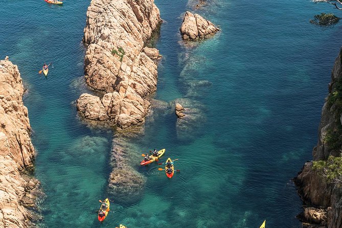 Costa Brava Kayaking and Snorkeling Small Group Tour - Overview of the Experience