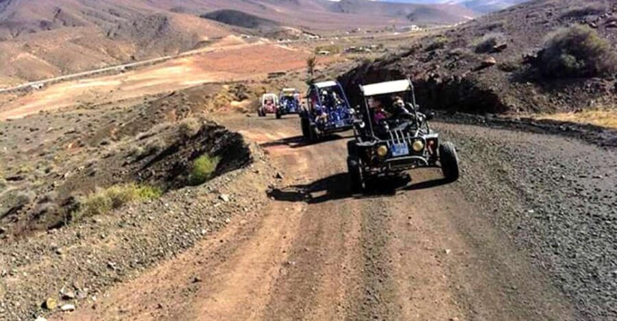 Costa Calma: Buggy Safari