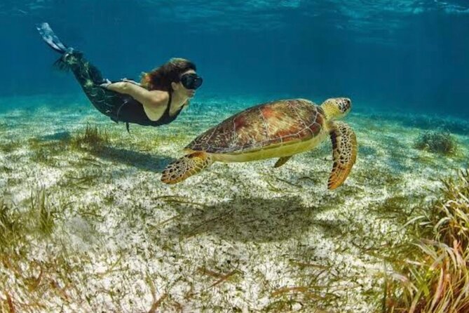 Costa Maya Reef Snorkeling Excursion + Beach Day by Lachilangaloense Freeshuffle