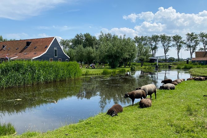 Countryside Electric Bike Tour: Zaanse Schans & Zaandam - Inclusions