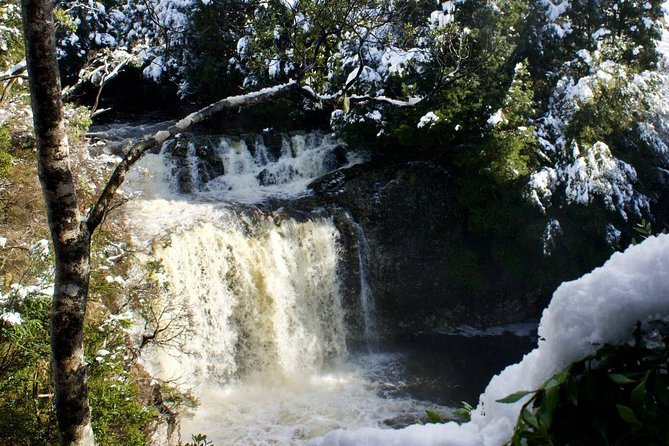 Cradle Mountain Day Tour From Launceston Including Lunch