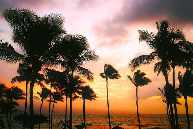 creative-soul-scavenger-hunt-kona-big-island-hawaii-overview-of-the-adventure