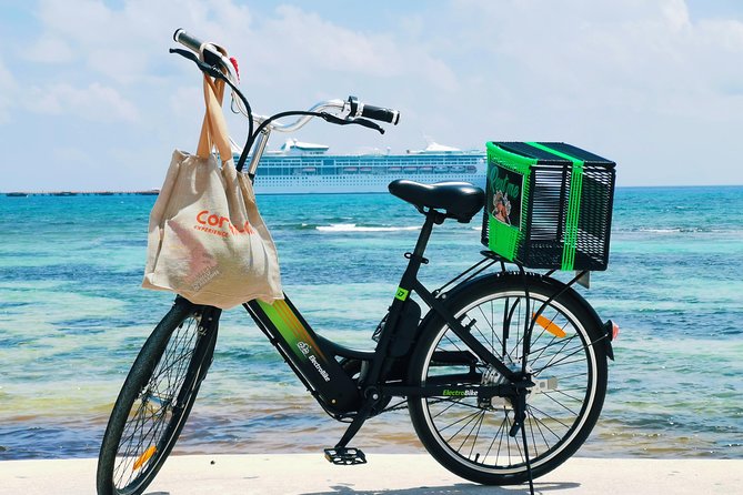 cruise-guest-electric-bike-meeting-and-pickup