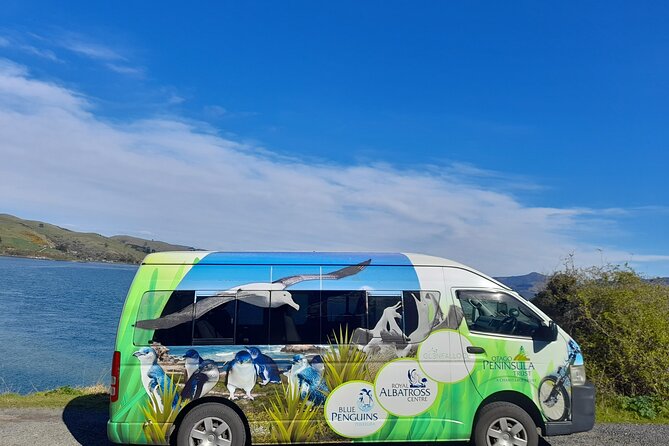 Cruise Ship Shore Excursion: Nature Viewing + Penguin Monitoring - Meeting and Pickup Details