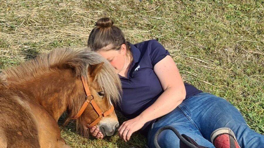 cruseilles-horseback-riding-in-the-countryside-activity-details