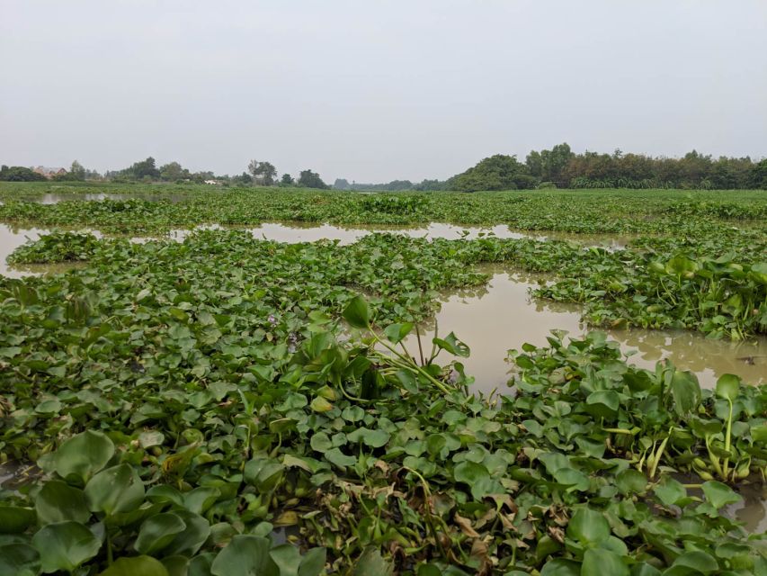 Cu Chi Tunnels & Mekong Delta Group Tour Full Day - Cu Chi Tunnels