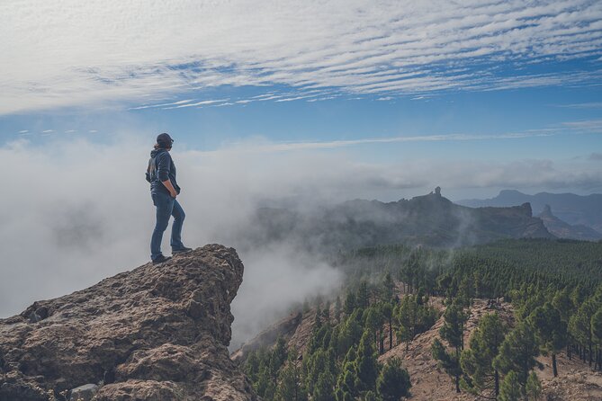 Custom Private & VIP Highlights Tour of Gran Canaria - Personalized Experiences