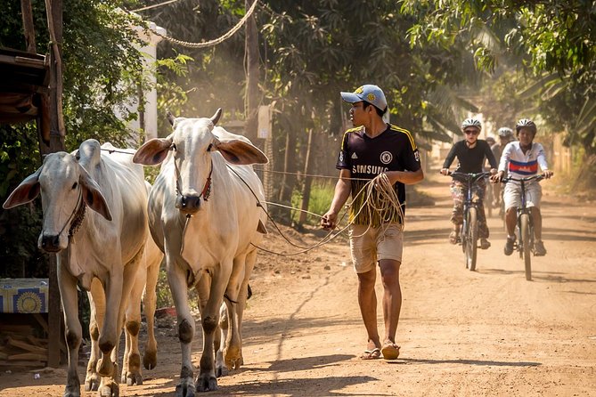Cycling Adventure on Islands of the Mekong Phnom Penh - Included in Tour