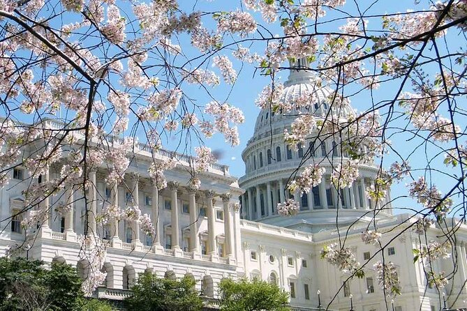 D.C. Cherry Blossoms: Escorted Bus Tour From Toronto