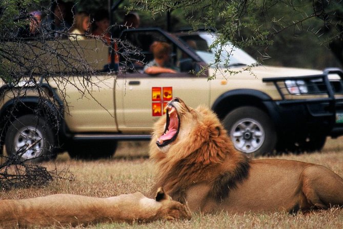 Daily Pilanesberg National Park Private Shuttle Services - Overview and Service Details
