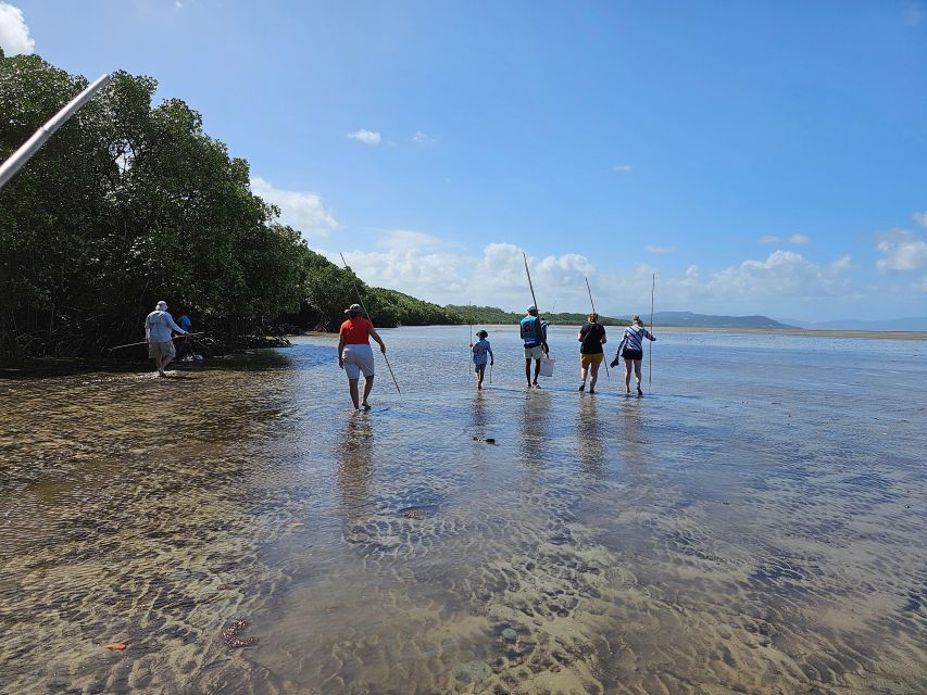 Daintree, Crocodile Cruise, Aboriginal Beach & Fishing Tour - Tour Overview