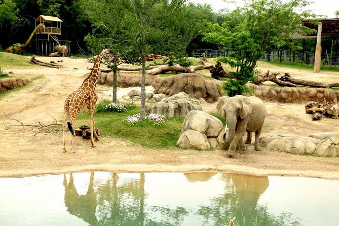 dallas-citypass-attractions-included-in-citypass