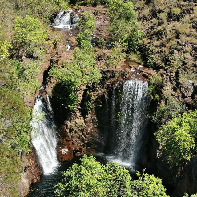 darwin-litchfield-national-park-and-berry-springs-day-tour-tour-overview