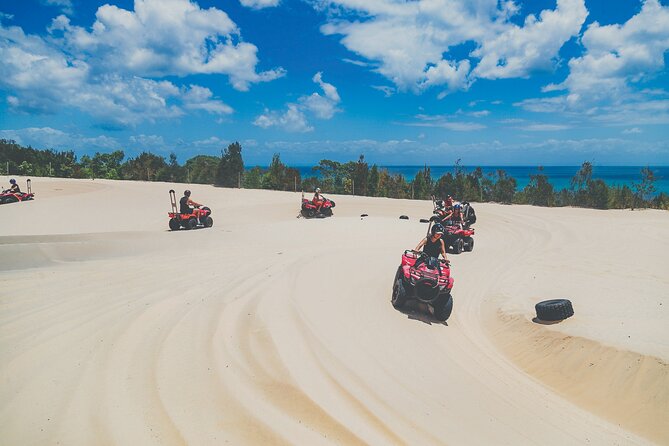 Day Cruise to Tangalooma Island Resort on Moreton Island