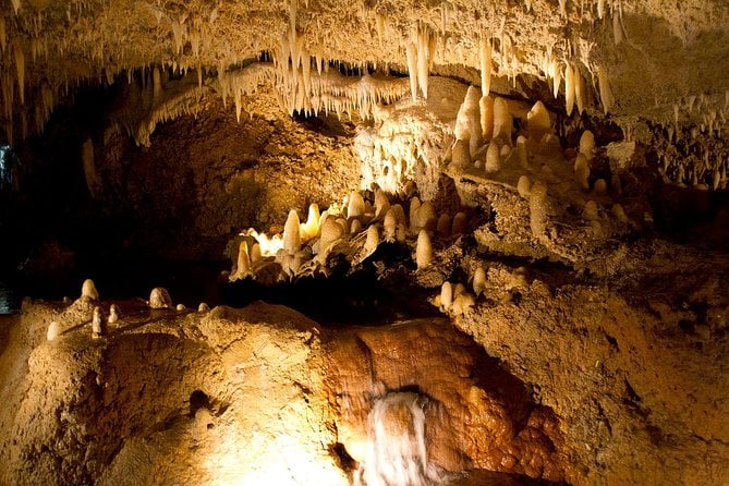 Day Tour Including Harrisons Cave St. Nicholas Lunch and Monkeys
