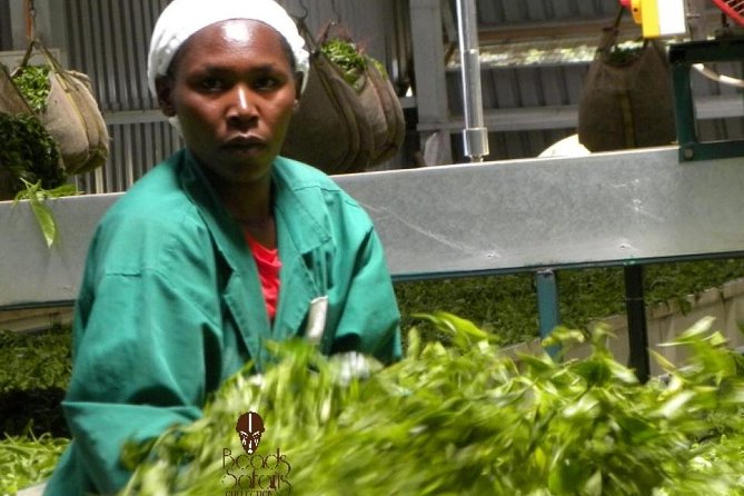 Day Tour To Kiambethu Tea Farm in Limuru