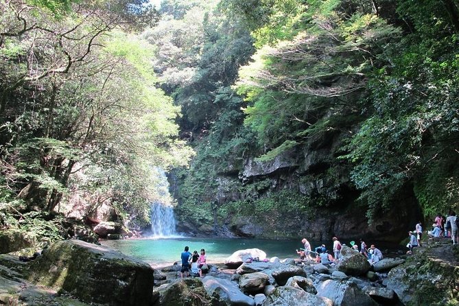 Day Trip Charter Bus Tour to Waterfall & Nagasaki From Fukuoka - Tour Highlights