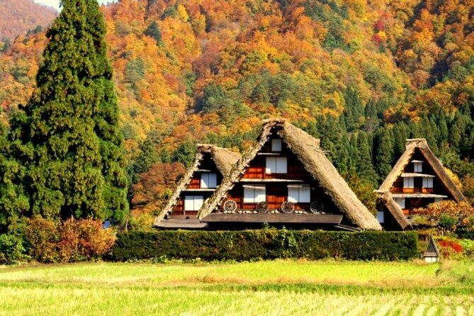 Day Trip for Shirakawago, Takayama & Gujo Hachiman From Nagoya - Tour Overview