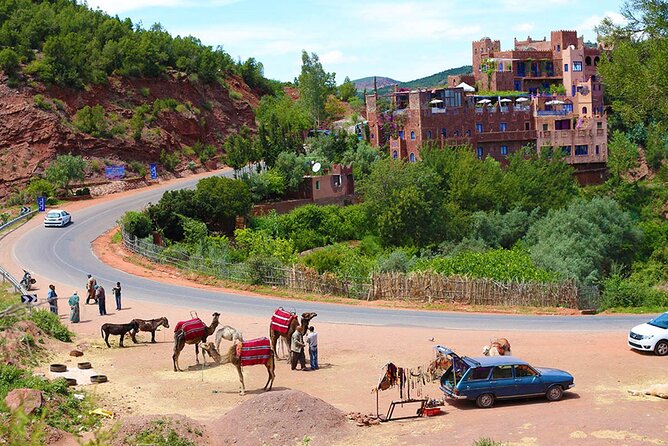 Day Trip to Ourika Valley From Marrakech With Lunch