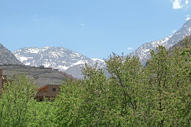 Day Trip to Ourika Valley From Marrakech - Pickup and Drop-off Details