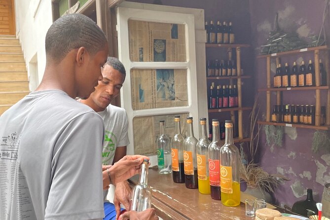 Day Trip to Santo Antão by Car or Trek