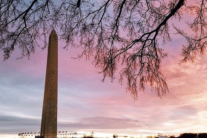 DC Mall Tour W/ Washington Monument Ticket Semi-Private 8ppl Max - Tour Overview