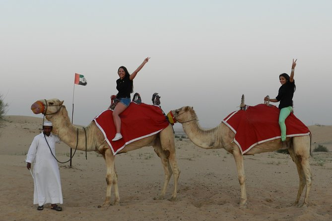 Desert Safari in Dubai Red Dunes With BBQ VEG Dinner - Camel Riding in the Dunes