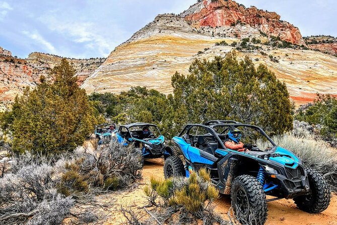 Dianas Throne UTV Adventure Near Zion National Park - Utility Terrain Vehicle Details