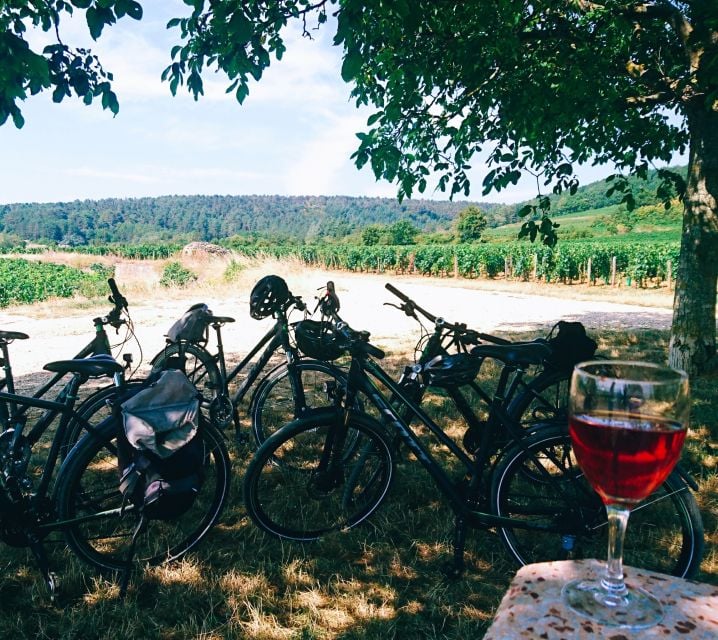 Dijon: Bike Tour and Tastings in the Vineyards of Burgundy - Overview of the Bike Tour