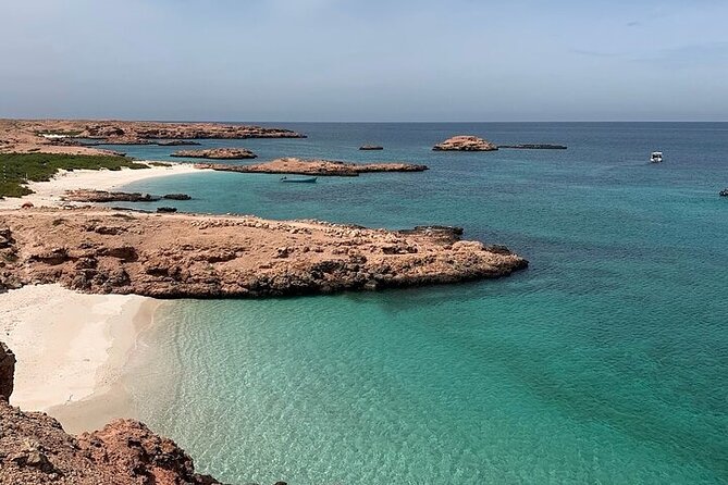 Dimaniyat Island Tour With Snorkeling - Tour Overview