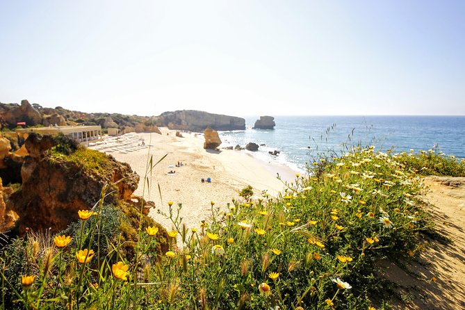 discover-albufeira-in-a-tuk-tuk-exploring-albufeiras-coastal-sights
