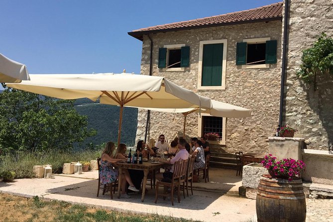 discover-dop-olive-oil-overview-of-the-experience