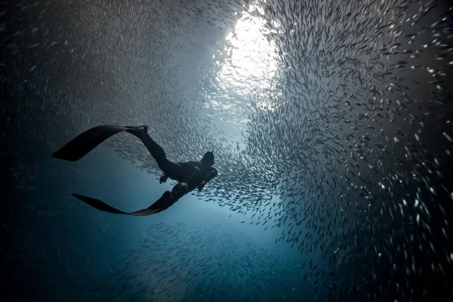 discover-free-diving-ligaria-beach-description-of-free-diving