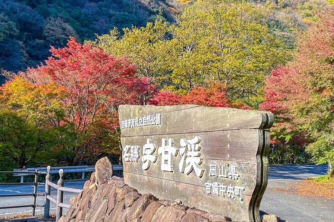Discover Japan's Countryside in Autumn - Tour Overview and Inclusions