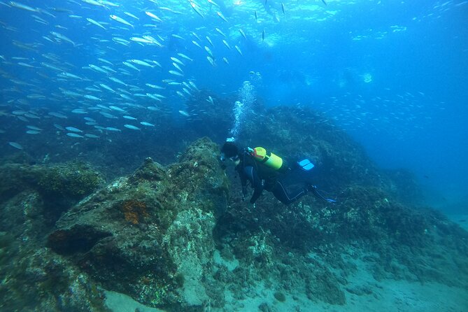Discover Scuba Diving