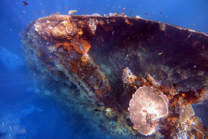 Discover Scuba Diving - Experience Overview