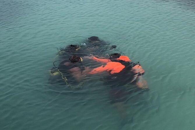 discover-scuba-diving-aruba-course-details-and-inclusions