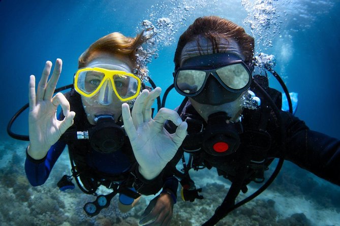 Discover Scuba Diving in Dubai - Overview of Discover Scuba Diving